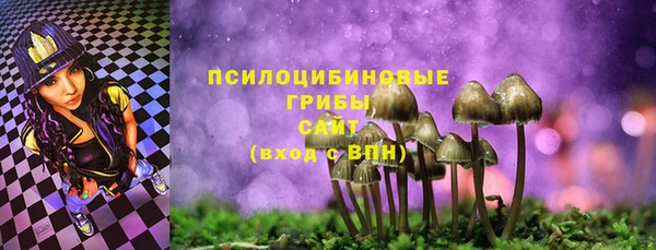 гидропоника Бородино
