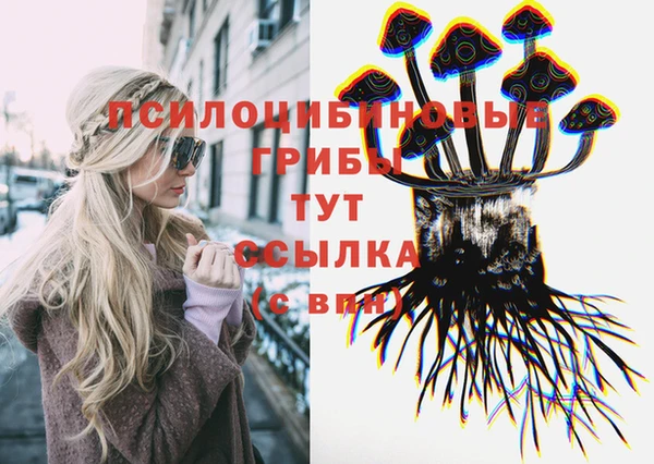 ешки Балахна
