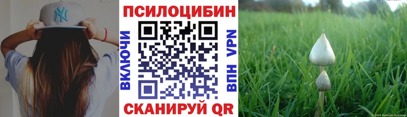 Псилоцибиновые грибы Magic Shrooms  Козельск 